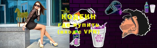 хмурый Дмитров