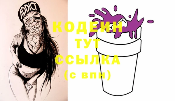 хмурый Дмитров