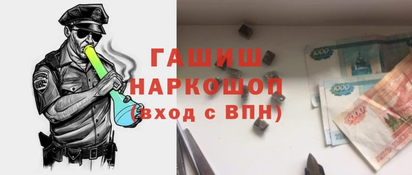 хмурый Дмитров