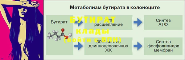 хмурый Дмитров