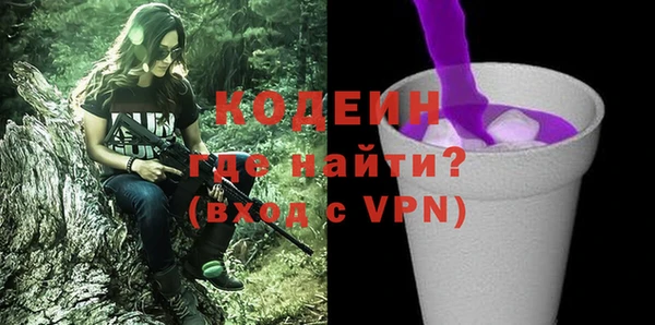 хмурый Дмитров