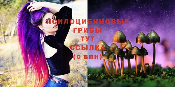 марки nbome Дмитриев
