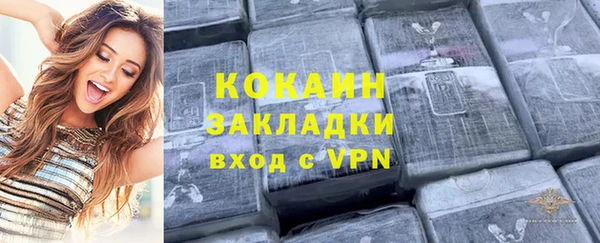 хмурый Дмитров