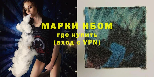 хмурый Дмитров