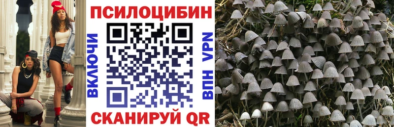 Галлюциногенные грибы GOLDEN TEACHER  что такое наркотик  Новоржев 
