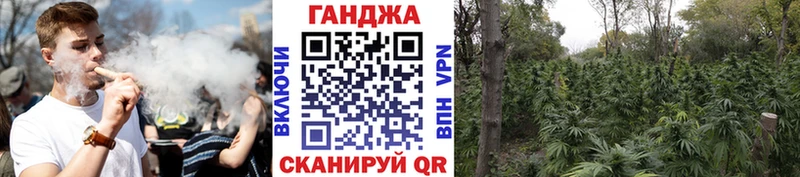 где купить наркоту Новоржев Марихуана план